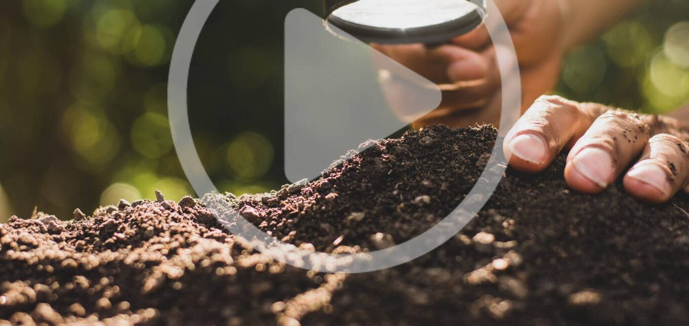 Ep. 46 Building Soil – Mother Earth News - Vimarsana News